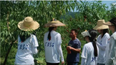 技术传入田间地头运用所学专业知识为当地乡村振兴提供助力