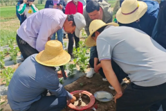 把有限的土地资源利用好村民有事干在家门口就能挣到钱